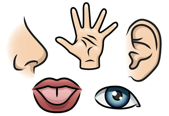 لذاكرة حادة مهما بلغت من العمر.. 7 نصائح مذهلة صورة رقم 2