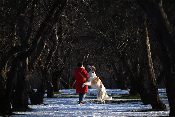 إليكم الصور الأكثر إثارة لأبرز أحداث العالم لهذا الأسبوع صورة رقم 14 إليكم الصور الأكثر إثارة لأبرز أحداث العالم لهذا الأسبوع صورة رقم 14