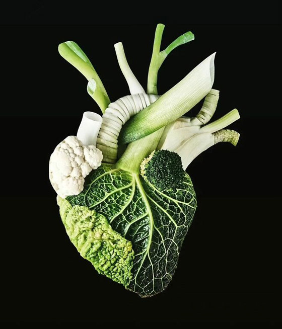 صور مدهشة ومميزة صعب أن تبعدها عن نظرك بسرعة صورة رقم 2