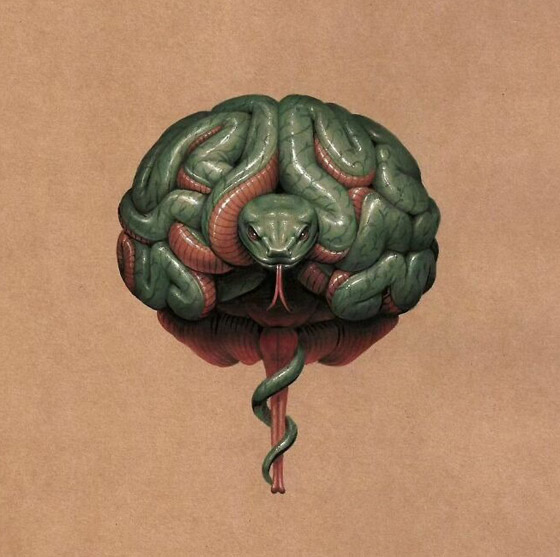 صور مدهشة ومميزة صعب أن تبعدها عن نظرك بسرعة صورة رقم 8