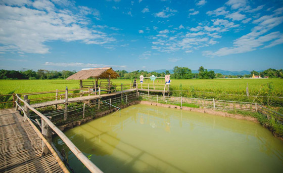 بالصور: 10 من أفضل القرى الريفية السياحية الجذابة في العالم صورة رقم 10