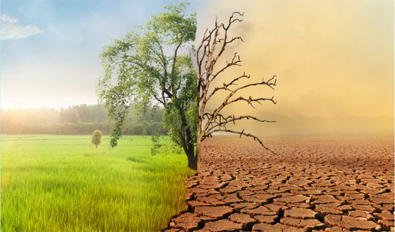  ���� ��� 4 - 