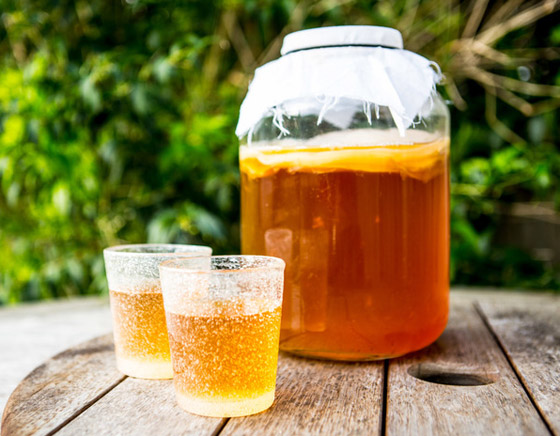 مفاجأة عن فوائد شاي الكومبوتشا.. يقضي على الدهون دون أي جهد صورة رقم 2