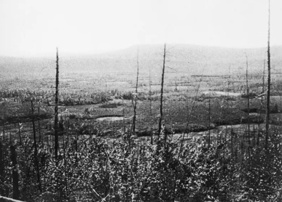 بهذا العام.. شهدت روسيا حدثاً غريباً أحرق 80 مليون شجرة صورة رقم 2