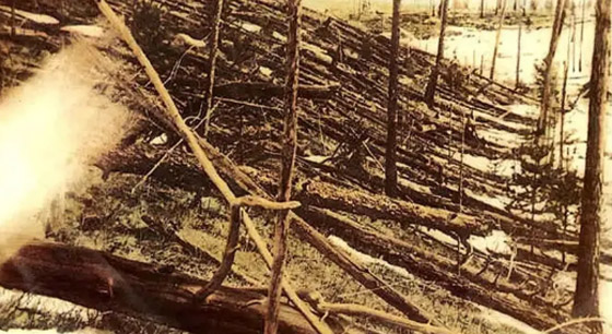 بهذا العام.. شهدت روسيا حدثاً غريباً أحرق 80 مليون شجرة صورة رقم 4