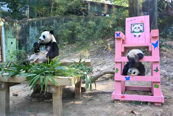 إليكم أطرف الصور لأبرز أحداث العالم لهذا الأسبوع صورة رقم 8 إليكم أطرف الصور لأبرز أحداث العالم لهذا الأسبوع صورة رقم 8