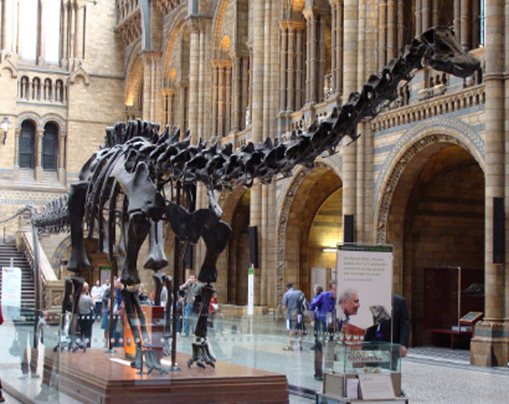 تسبب بإغلاق متحف لأسبوع كامل.. بريطاني ينتقم لطرده من العمل صورة رقم 3