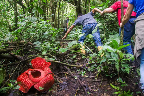 إليكم الصور الأكثر إثارة لأبرز أحداث العالم لهذا الأسبوع صورة رقم 11