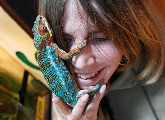 إليكم الصور الأكثر إثارة لأبرز أحداث العالم لهذا الأسبوع صورة رقم 14