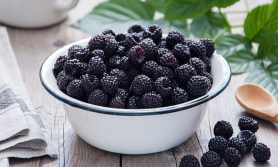 5 فواكه غنية بالبروتين هتساعدك فى التخلص من الوزن الزائد واكتساب العضلات صورة رقم 4