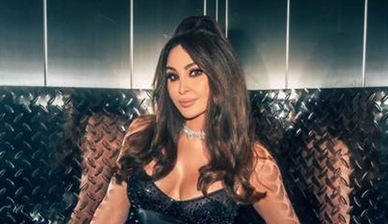 إليسا تصفع أحد المُعجبين على المسرح! ماذا فعل وما رايكم بتصرفها؟ صورة رقم 3