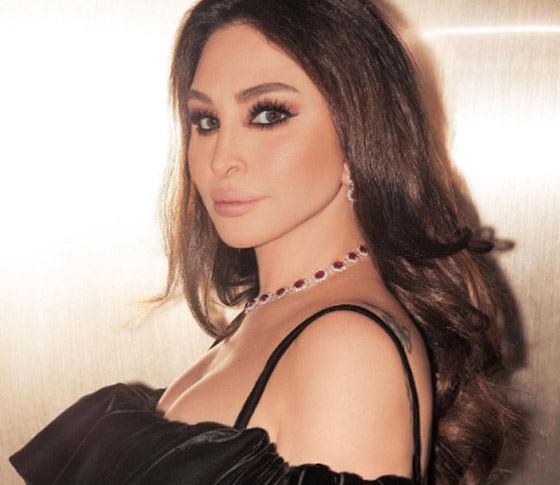 إليسا تصفع أحد المُعجبين على المسرح! ماذا فعل وما رايكم بتصرفها؟ صورة رقم 6