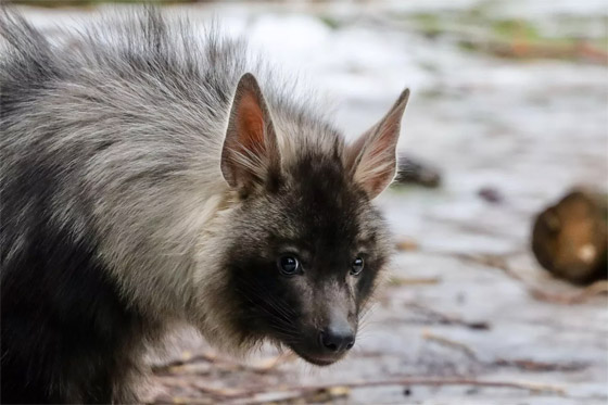  ���� ��� 2 - ��� ����� ������ ����� ����� �������