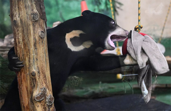  ���� ��� 11 - ��� ����� ������ ����� ����� �������