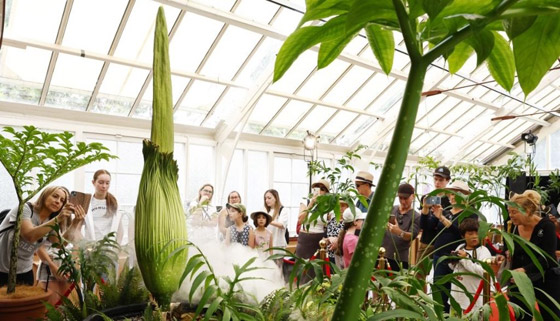 حدث استثنائي لأول مرة منذ 15 عاما: حدث استثنائي لأول مرة منذ 15 عاما: