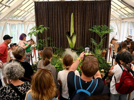 حدث استثنائي لأول مرة منذ 15 عاما: حدث استثنائي لأول مرة منذ 15 عاما: