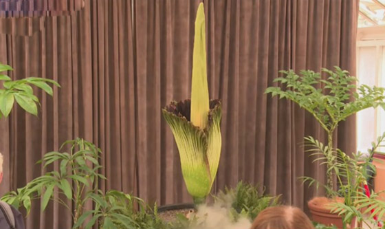 حدث استثنائي لأول مرة منذ 15 عاما: حدث استثنائي لأول مرة منذ 15 عاما: