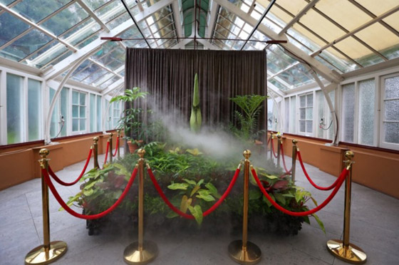 حدث استثنائي لأول مرة منذ 15 عاما: حدث استثنائي لأول مرة منذ 15 عاما: