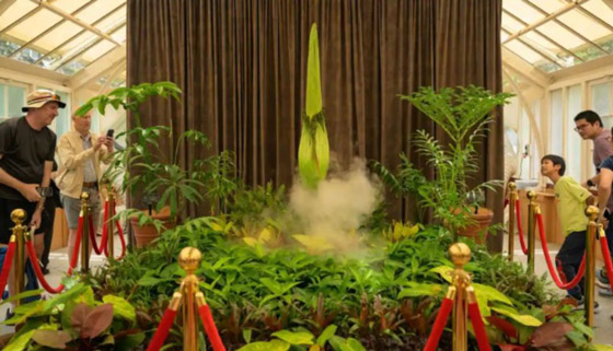 حدث استثنائي لأول مرة منذ 15 عاما: حدث استثنائي لأول مرة منذ 15 عاما: