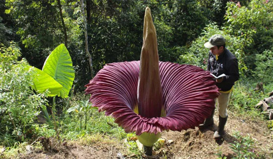 حدث استثنائي لأول مرة منذ 15 عاما: حدث استثنائي لأول مرة منذ 15 عاما: