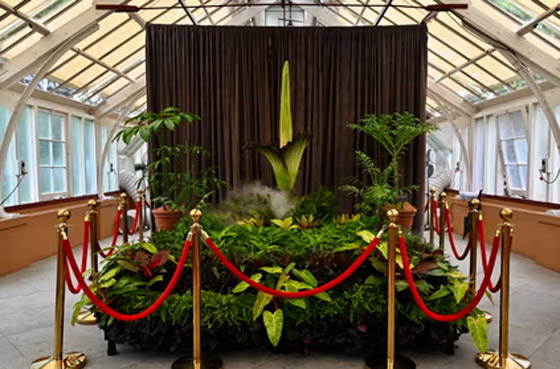 حدث استثنائي لأول مرة منذ 15 عاما: حدث استثنائي لأول مرة منذ 15 عاما: