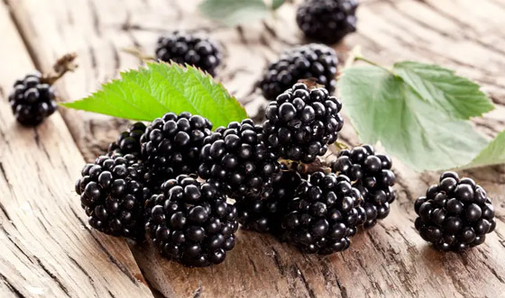 الذهب الأسود.. فاكهة سحرية لعلاج الأمراض صورة رقم 1