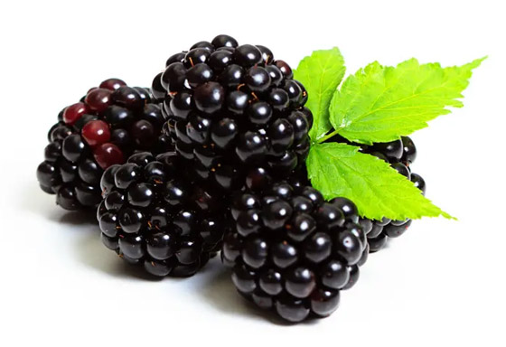 الذهب الأسود.. فاكهة سحرية لعلاج الأمراض صورة رقم 5