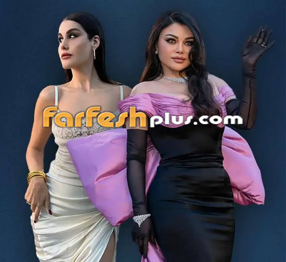 هيفاء وهبي ونور عريضة تكشفان التحرش الذي تتعرضان له وتقودان حملة توعية! صورة رقم 13