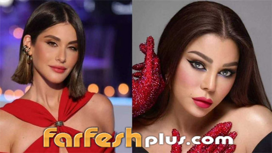 هيفاء وهبي ونور عريضة تكشفان التحرش الذي تتعرضان له وتقودان حملة توعية! صورة رقم 14