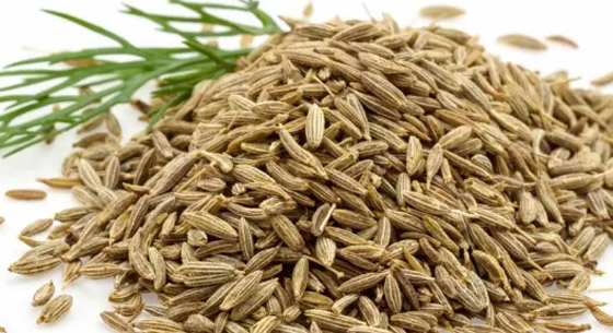 يسحق الكوليسترول ويقي من السرطان.. نوع من التوابل يبهر الباحثين بتأثيراته صورة رقم 2