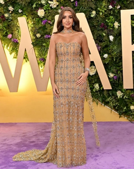 هنا الزاهد عن انتقادات مد يدها لـ ماثيو ماكونهي: فستاني تقيل وزنه 20 كيلو وكنت هقع صورة رقم 5