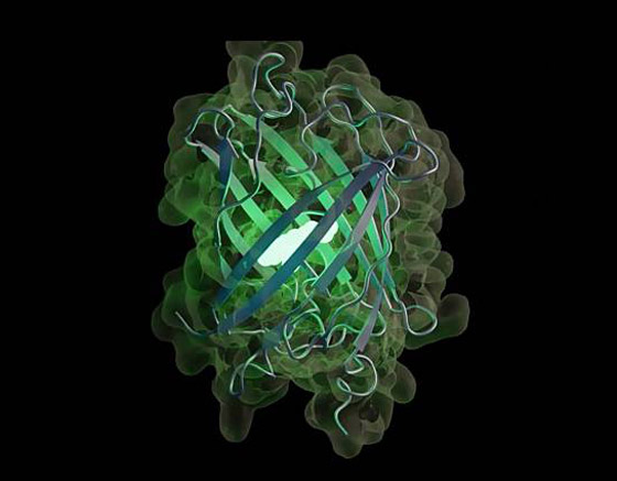 صورة رقم 2 - إنشاء جزيء صورة رقم 2 - إنشاء جزيء