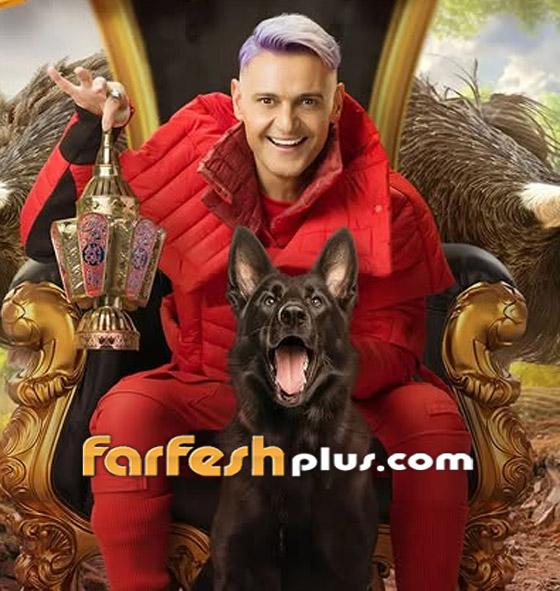 مسلسلات رمضان 2025: تسريب أجور ضحايا رامز جلال: فيفي 400 ألف دولار وهنيدي 300 ألف! صورة رقم 5