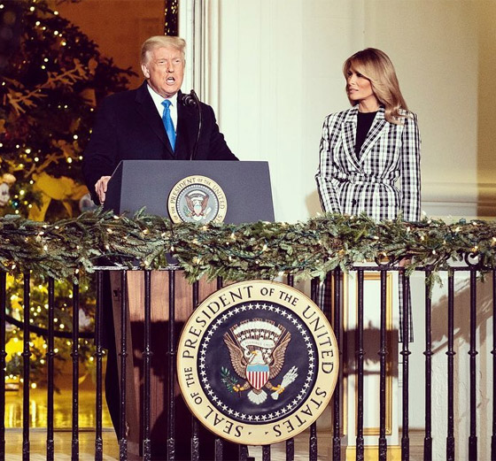 الصورة الرسمية للسيدة الأمريكية الأولى الـ47: الصورة الرسمية للسيدة الأمريكية الأولى الـ47: