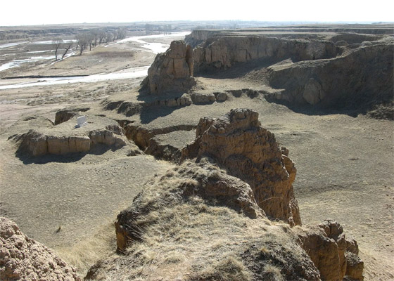 صورة رقم 1 - اقتراح إدراج نوع جديد من البشر على شجرة العائلة البشرية صورة رقم 1 - اقتراح إدراج نوع جديد من البشر على شجرة العائلة البشرية