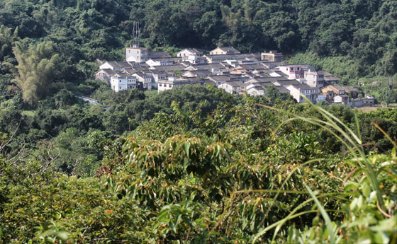 قرية زراعية صينية عمرها 300 سنة.. لِمَ يعود إليها سكانها بعد هجرها؟ صورة رقم 10 قرية زراعية صينية عمرها 300 سنة.. لِمَ يعود إليها سكانها بعد هجرها؟ صورة رقم 10