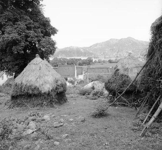 قرية زراعية صينية عمرها 300 سنة.. لِمَ يعود إليها سكانها بعد هجرها؟ صورة رقم 2 قرية زراعية صينية عمرها 300 سنة.. لِمَ يعود إليها سكانها بعد هجرها؟ صورة رقم 2