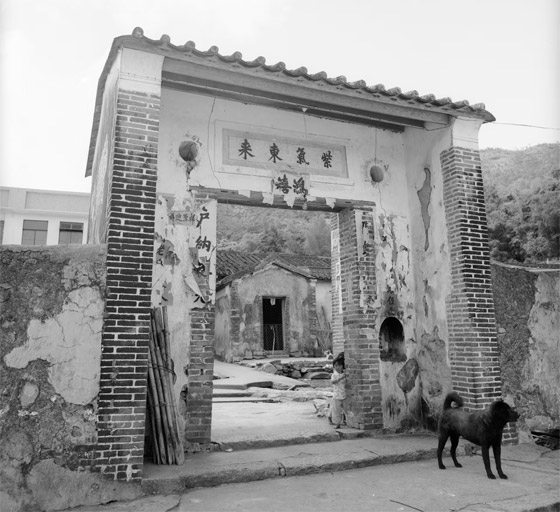 قرية زراعية صينية عمرها 300 سنة.. لِمَ يعود إليها سكانها بعد هجرها؟ صورة رقم 3 قرية زراعية صينية عمرها 300 سنة.. لِمَ يعود إليها سكانها بعد هجرها؟ صورة رقم 3