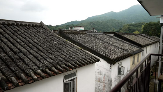 قرية زراعية صينية عمرها 300 سنة.. لِمَ يعود إليها سكانها بعد هجرها؟ صورة رقم 4 قرية زراعية صينية عمرها 300 سنة.. لِمَ يعود إليها سكانها بعد هجرها؟ صورة رقم 4