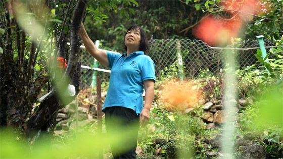 قرية زراعية صينية عمرها 300 سنة.. لِمَ يعود إليها سكانها بعد هجرها؟ صورة رقم 6 قرية زراعية صينية عمرها 300 سنة.. لِمَ يعود إليها سكانها بعد هجرها؟ صورة رقم 6