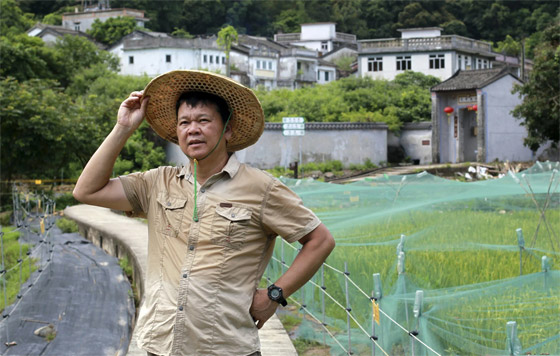 قرية زراعية صينية عمرها 300 سنة.. لِمَ يعود إليها سكانها بعد هجرها؟ صورة رقم 9 قرية زراعية صينية عمرها 300 سنة.. لِمَ يعود إليها سكانها بعد هجرها؟ صورة رقم 9