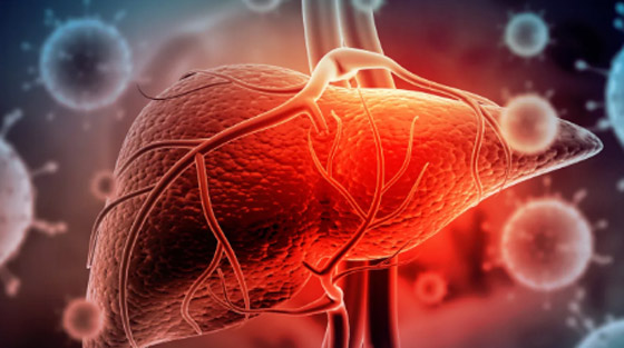 5 علامات تظهر فى الجسم عند الإصابة بعدوى فى الكبد صورة رقم 1