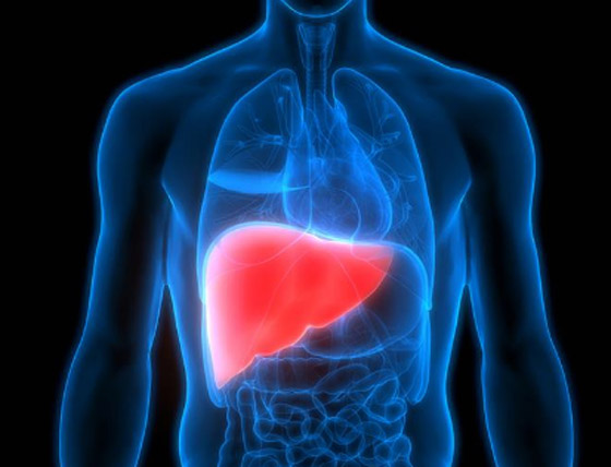 5 علامات تظهر فى الجسم عند الإصابة بعدوى فى الكبد صورة رقم 4