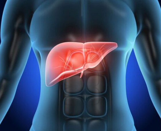 5 علامات تظهر فى الجسم عند الإصابة بعدوى فى الكبد صورة رقم 5