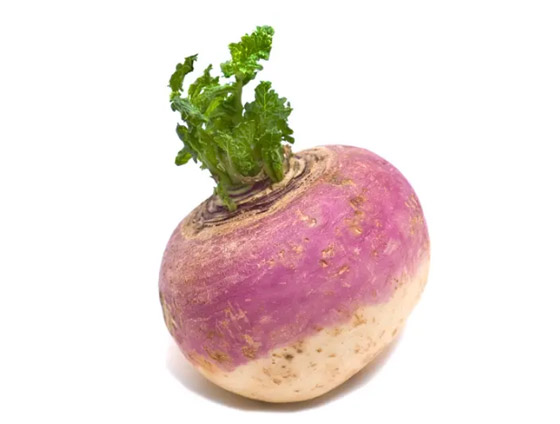 بسبب الحرب والمجاعة.. أصبح اللفت غذاء الألمان في هذا العام صورة رقم 2