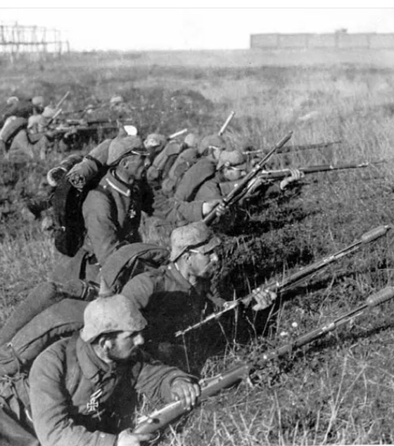 بسبب الحرب والمجاعة.. أصبح اللفت غذاء الألمان في هذا العام صورة رقم 1