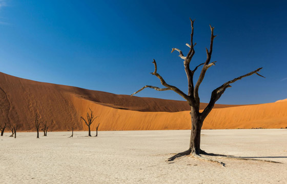 بالصور: 10 أماكن سياحية غير تقليدية لن تصدق أنها على كوكب الأرض صورة رقم 9