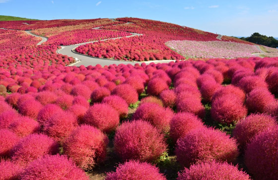 بالصور: 10 أماكن سياحية غير تقليدية لن تصدق أنها على كوكب الأرض صورة رقم 10