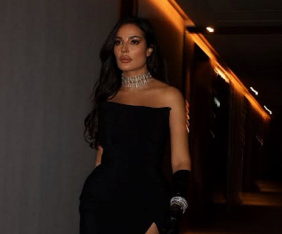 عيد ميلاد نادين نسيب نجيم: ممنوع دخول الرجال ومسلسل صالون زهرة يزيّن الكعكة!  صورة رقم 8