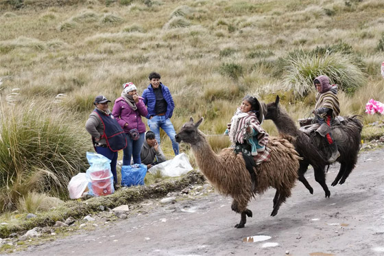إليكم الصور الأكثر إثارة لأبرز أحداث العالم لهذا الأسبوع صورة رقم 6
